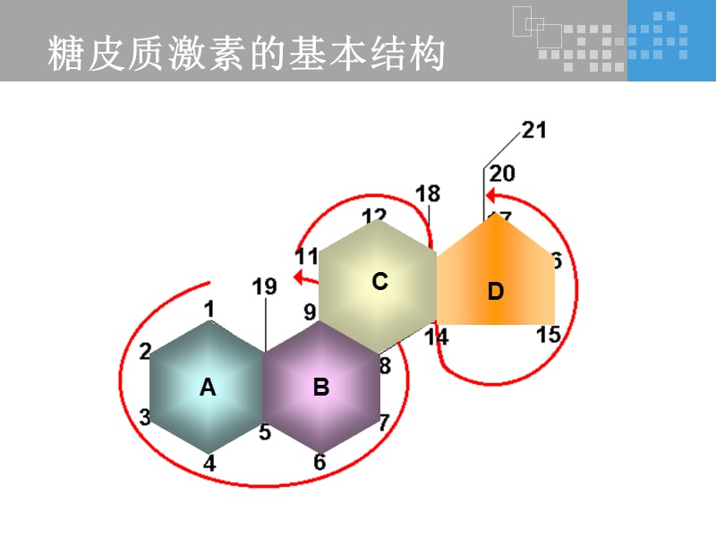 氟轻松是如何发挥其药理作用的？
